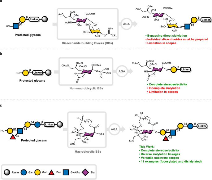 Fig. 1: Synthetic strategies to prepare sialylated glycans by AGA.