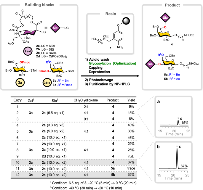 Fig. 2: Sialylation during AGA.