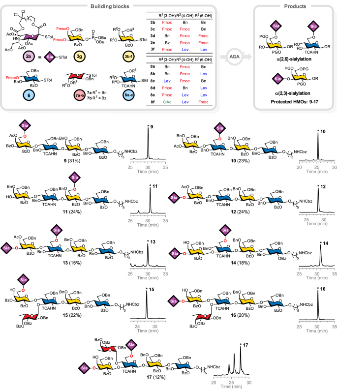 Fig. 3: Automated syntheses of sialylated HMOs with crude NP-HPLC traces.