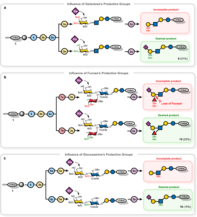 Fig. 4: Influence of protecting groups on remote monosaccharides on sialylation.