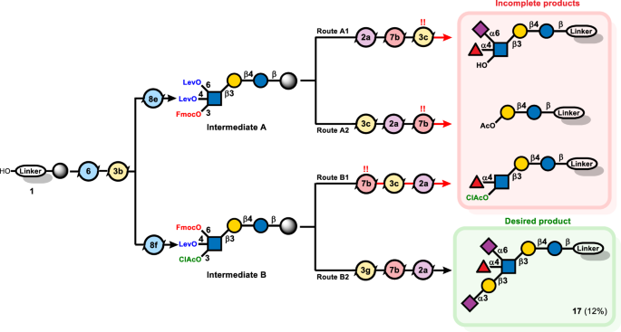 Fig. 5: AGA of heptasaccharide 17 via different synthetic sequences.
