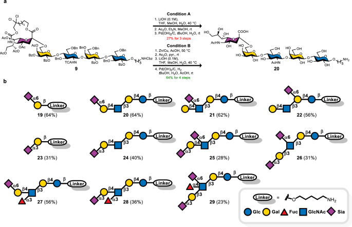 Fig. 6: Global deprotection of sialylated glycans.