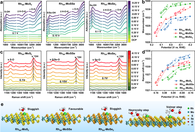 Fig. 6: Mechanism insights into catalytic activity.