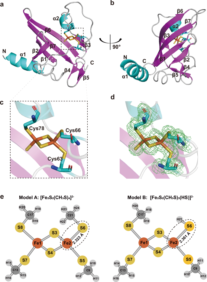 assemble shiro glutathione A labile sulfur ligand in a three-cysteine-coordinated [2Fe−2S] cluster mediates sulfide sensing in NreB Out of Stock - orient beauty BUNDLE:2 BOXES + FREE GIFT + FREE 1 24KARAT