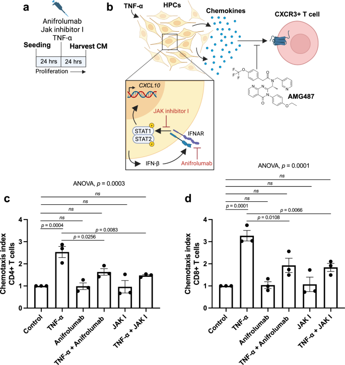 ghk-cu suppresses tnf-α induces type I IFN signalling to suppress neurogenesis and recruit T cells Delta Sleep-Inducing Peptide (DSIP)