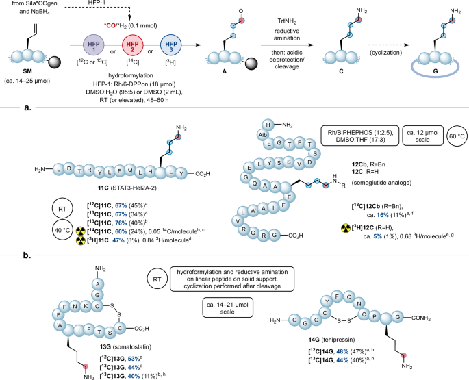 biopeptides semaglutide Late-stage generation of 14C/3H-radiolabeled lysine residues via  hydroformylation of peptides