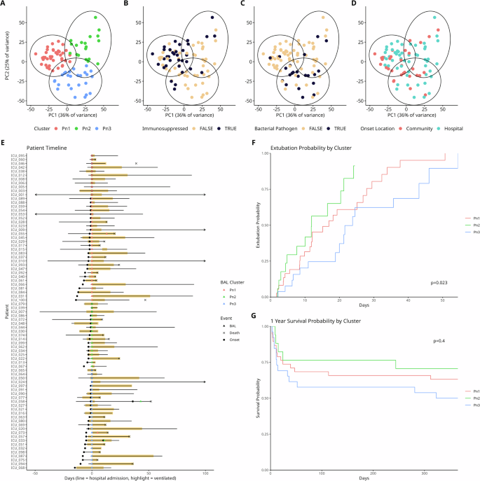 Fig. 1: Bronchoalveolar Lavage transcriptomic clusters identifies 3 “Pneumotypes” with differing clinical characteristics.
