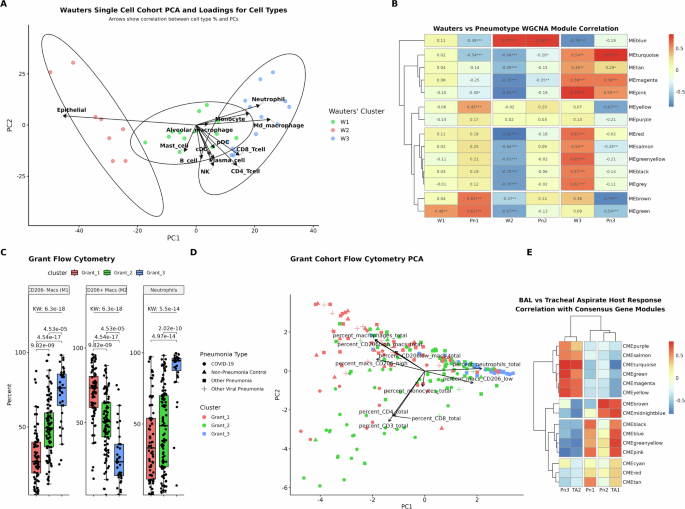 Fig. 6: Validation of pneumotypes in external datasets.