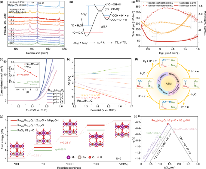 Fig. 4: Mechanistic investigation of OER activity.