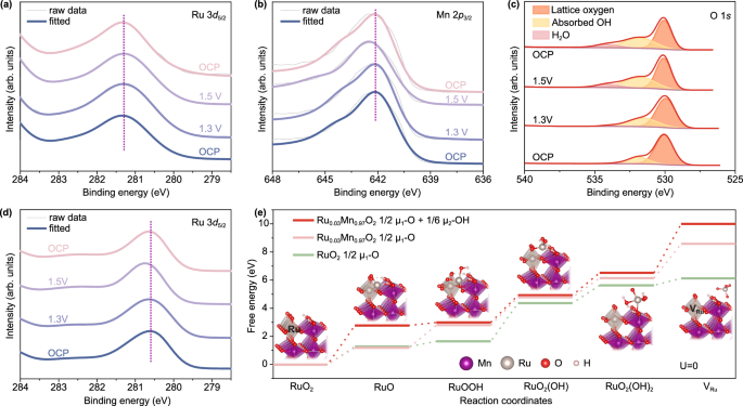 Fig. 5: Mechanistic investigation of stability.