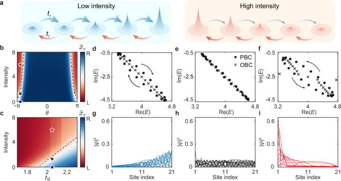 The Non-Hermitian Skin Effect: When Waves Run to the Edge