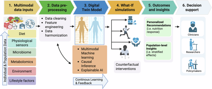Fig. 2: Pipeline for including digital twin models in precision nutrition applications.