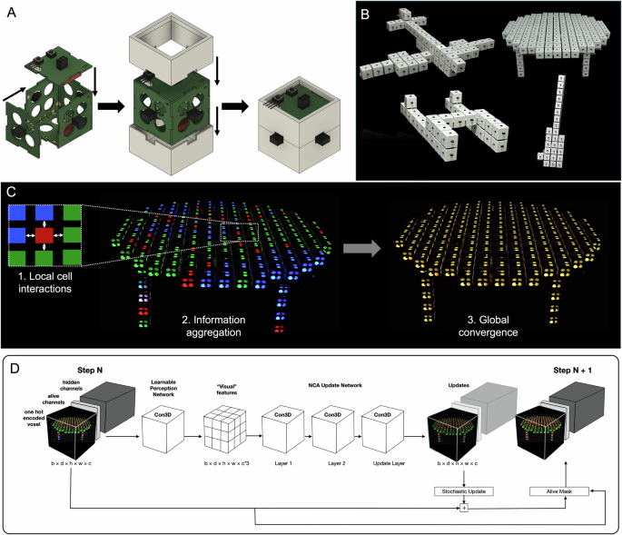 Architecture diagram showing cellular brick hardware, assembled shapes, local cell interactions, and the 3D NCA neural network update mechanism