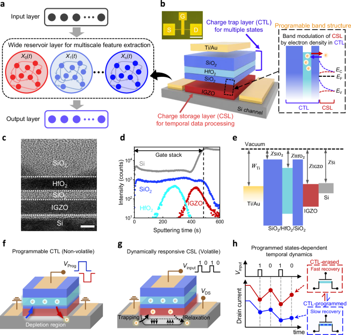 Struttura e principio di funzionamento del Programmable Dynamic Memtransistor con Charge Storage Layer e Charge Trap Layer