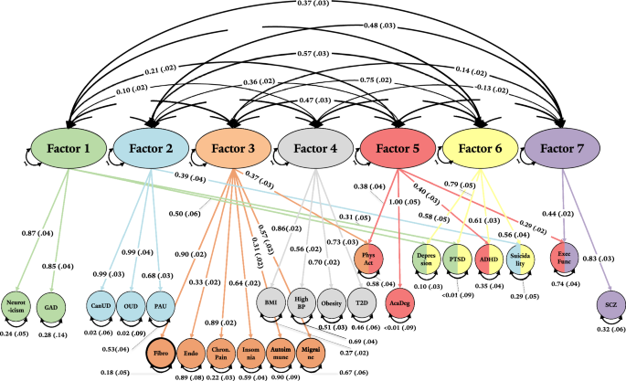 Fig. 5: Genomic structural equation modeling (gSEM).
