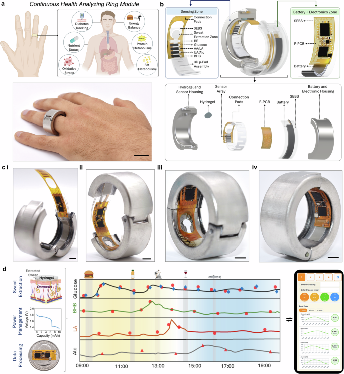 Smartwatch hiện biết nhịp tim và nhiệt độ: Wearable tương lai có thể đọc hàng chục phân tử đang trôi trong cơ thể