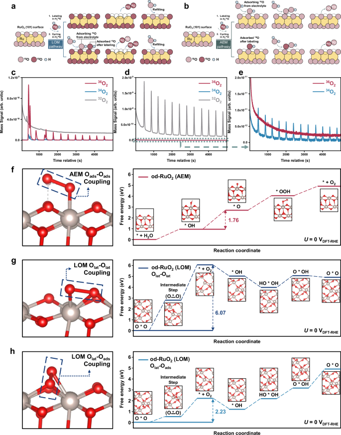 Fig. 5: Tracing of the OER catalytic pathway for mechanism analysis.