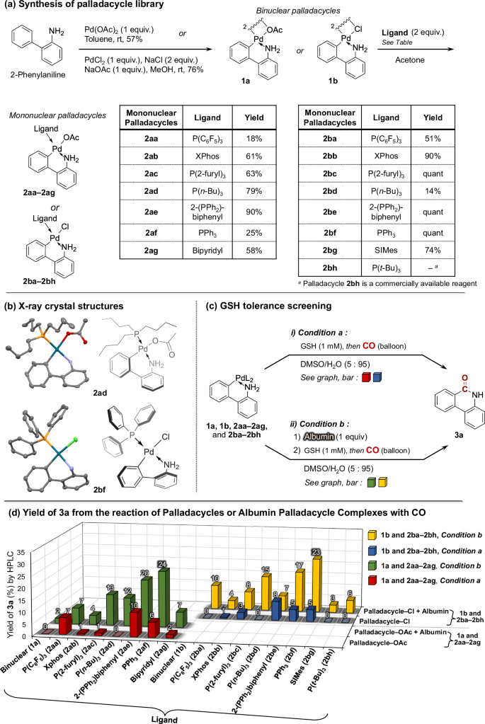 glutathione dr weil Harnessing endogenous carbon monoxide for cancer-selective drug synthesis reduced Glutathione