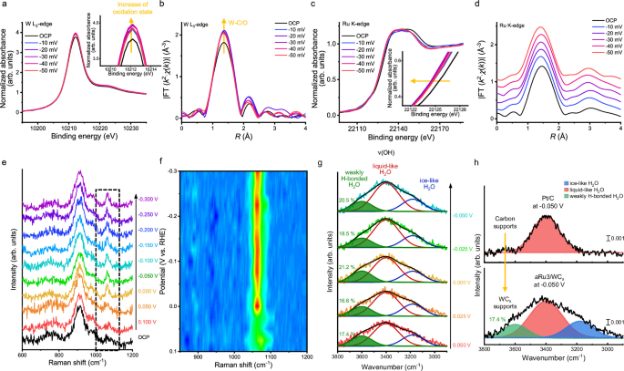 Fig. 5: Dynamic modulation of the Ru ALNs-WCx interfacial environment revealed by in situ spectroscopy.