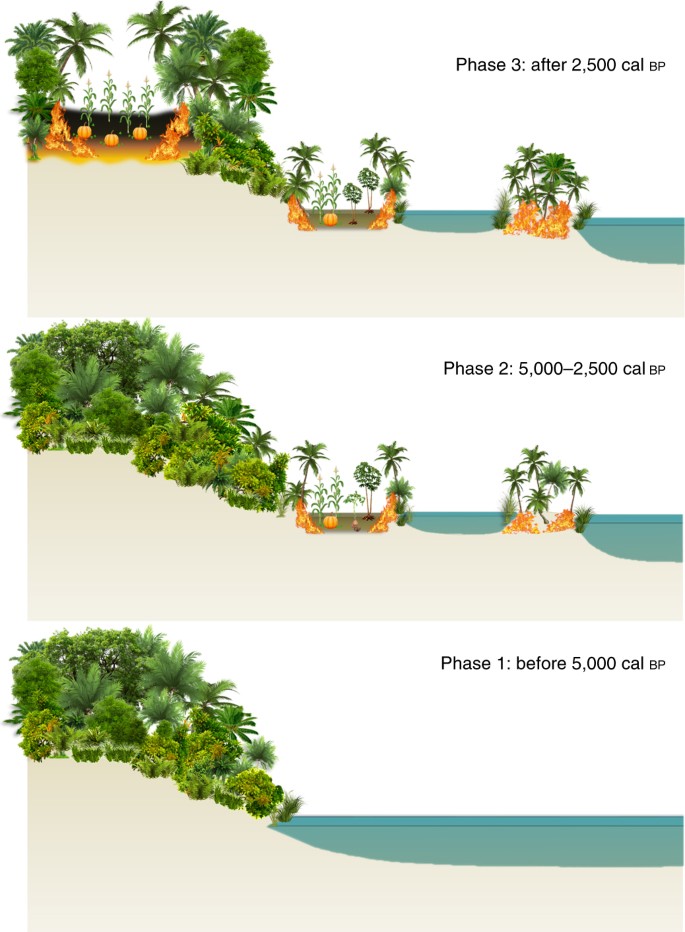 Diy Urban Gardening Hacks For Small Spaces Life And Style The