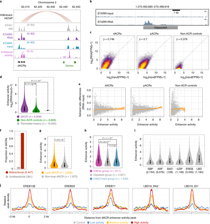 Permute 2 2.2.8 pc Permute 2 2.2.8 pc
