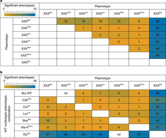 Reciprocal cybrids reveal how organellar genomes affect plant phenotypes |  Nature Plants