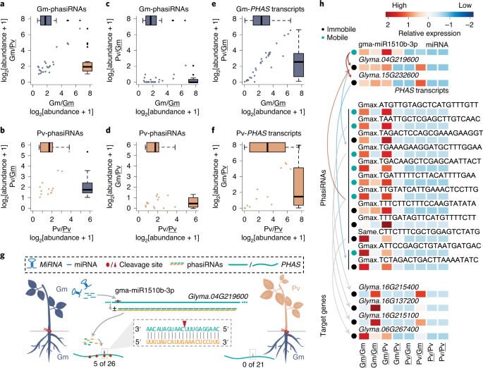 Unidirectional Movement Of Small Rnas From Shoots To Roots In Interspecific Heterografts Nature Plants Unidirectional Movement Of Small Rnas From Shoots To Roots In Interspecific Heterografts Nature Plants