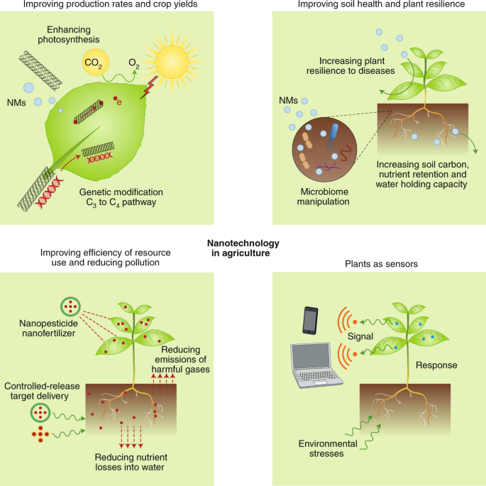 Crop Modification - Genetic Engineering Wikipedia - Another widely accepted crop modification is the introduction of genes that confer resistance to herbicides.