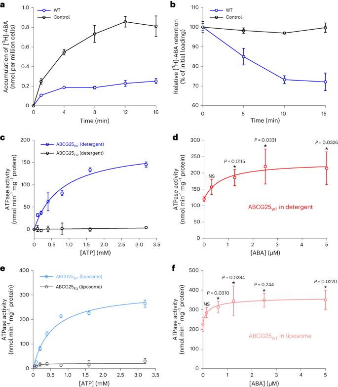 Fig. 1: Characterization of ABCG25-mediated ABA transport and ATPase activity.