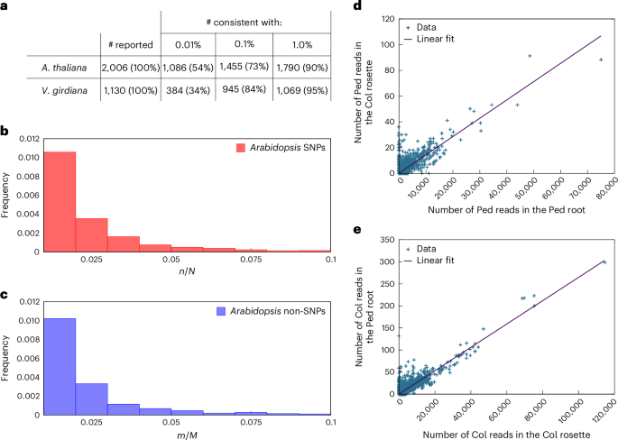 Fig. 2: Alternative interpretations for the evidence for mobile mRNAs.