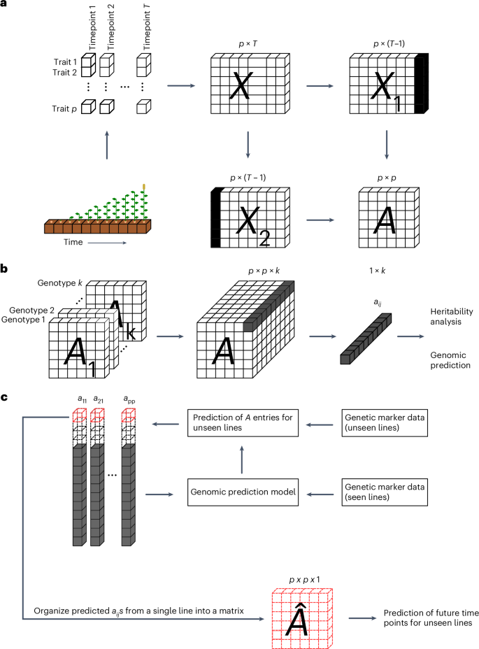 Fig. 1: A schematic representation of dynamicGP.