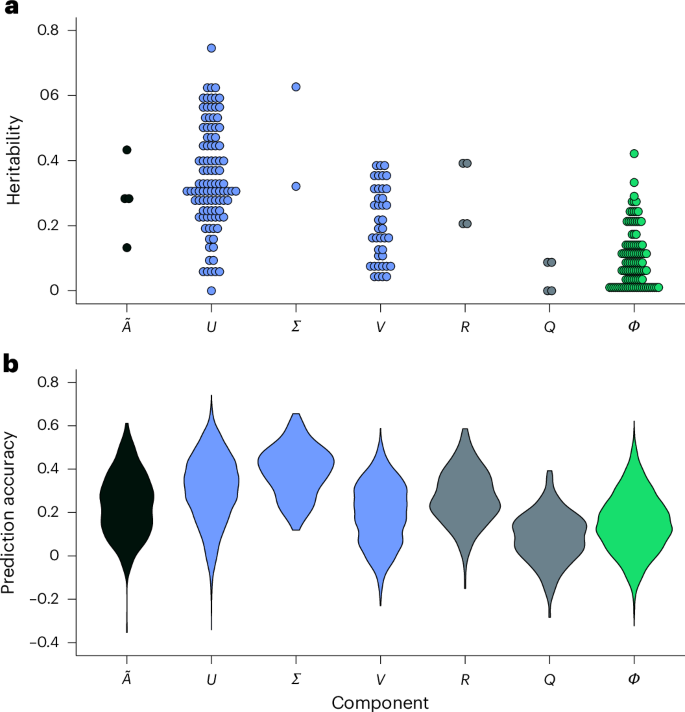 Fig. 2: Heritability estimates and prediction accuracy of the building blocks of dynamicGP on the maize dataset.