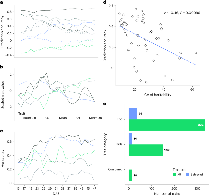 Fig. 3: Consistency of trait heritability across time influences the prediction accuracy of dynamicGP on the maize dataset.