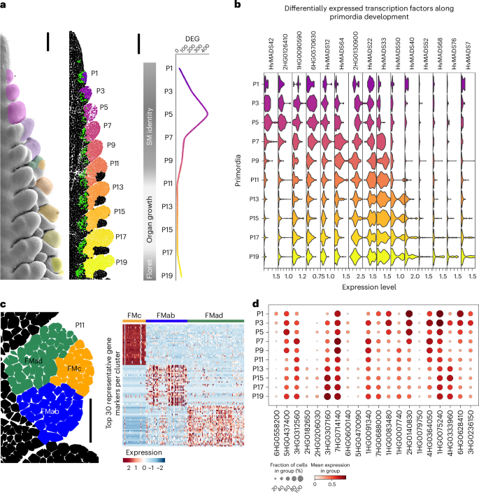 Fig. 6: Isolation of stage- and domain-specific genetic determinants using BARVISTA.