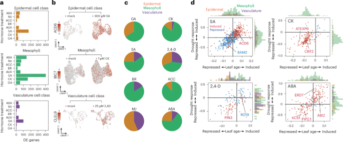 Fig. 3: Hormone signals are associated with drought-induced changes to leaf-ageing transcription dynamics.