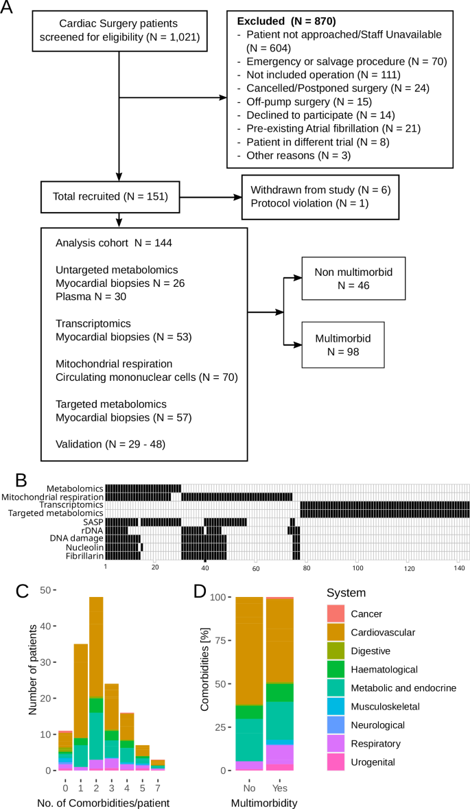 Multimorbidity is associated with myocardial DNA damage, nucleolar stress, dysregulated energy metabolism, and senescence in cardiovascular disease