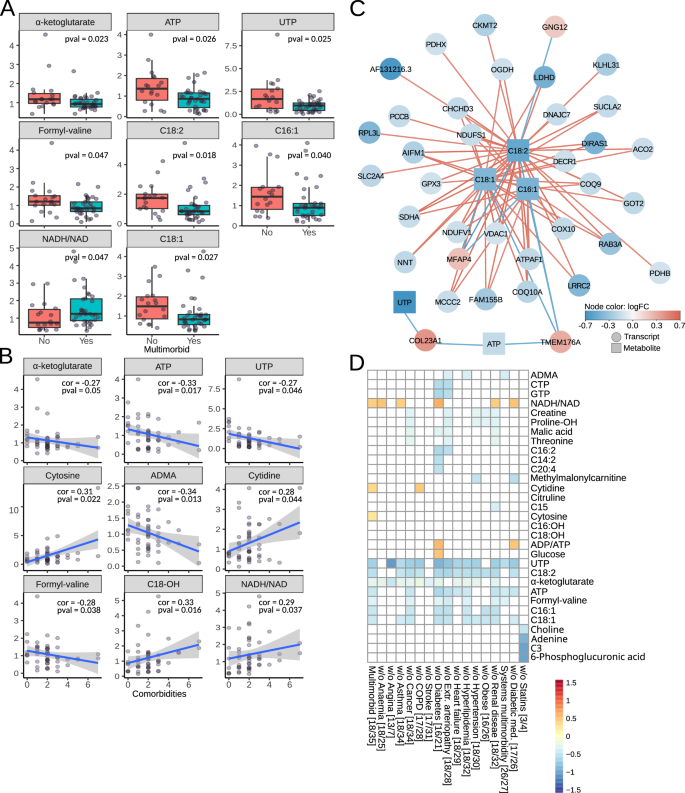Fig. 5: Myocardial metabolites involved in energy metabolism.
