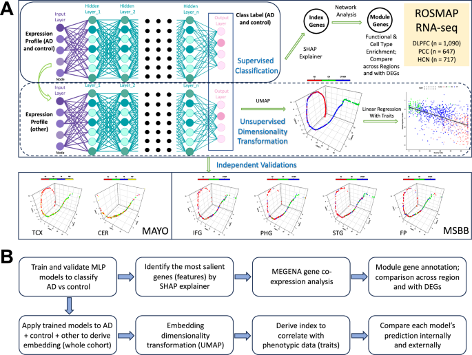 Fig. 1: The deep learning and interpretation framework employed in this work.