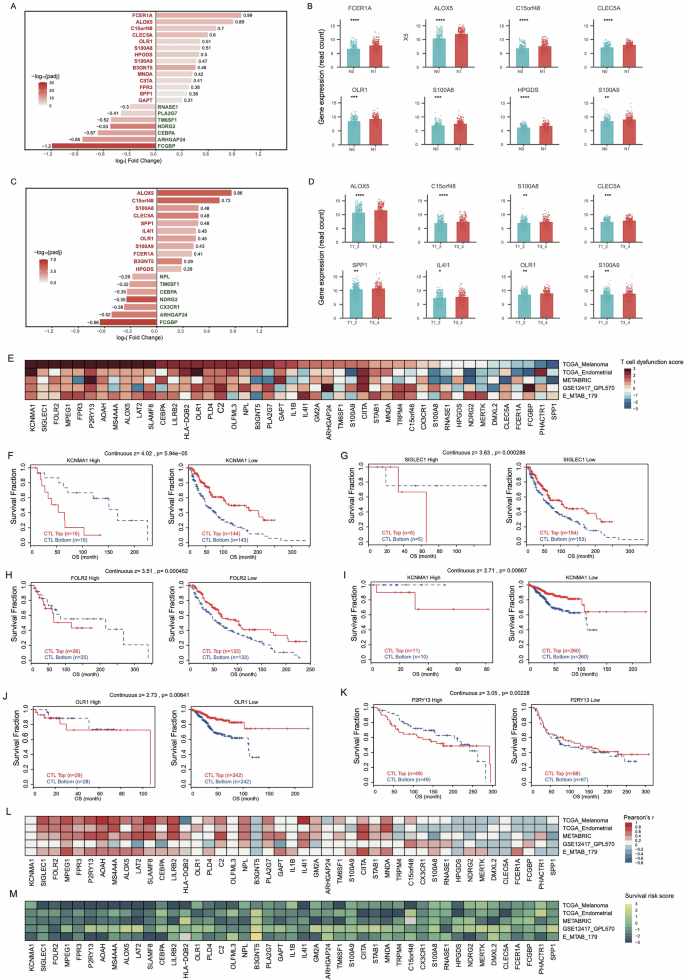 Fig. 2: Associations of selected DEGs with lymph node metastasis and tumor staging in the TCGA-THCA dataset and association with tumor immune dysfunction, immune infiltration, and prognosis.