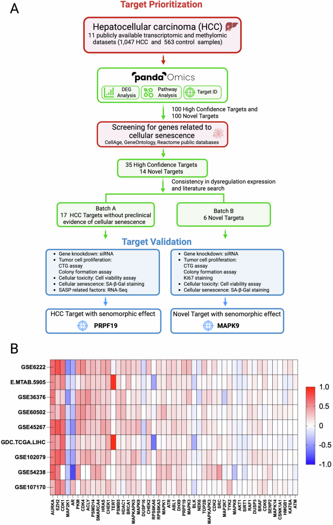 Fig. 1: AI-aided prioritization of targets implicated in both HCC and cellular senescence.