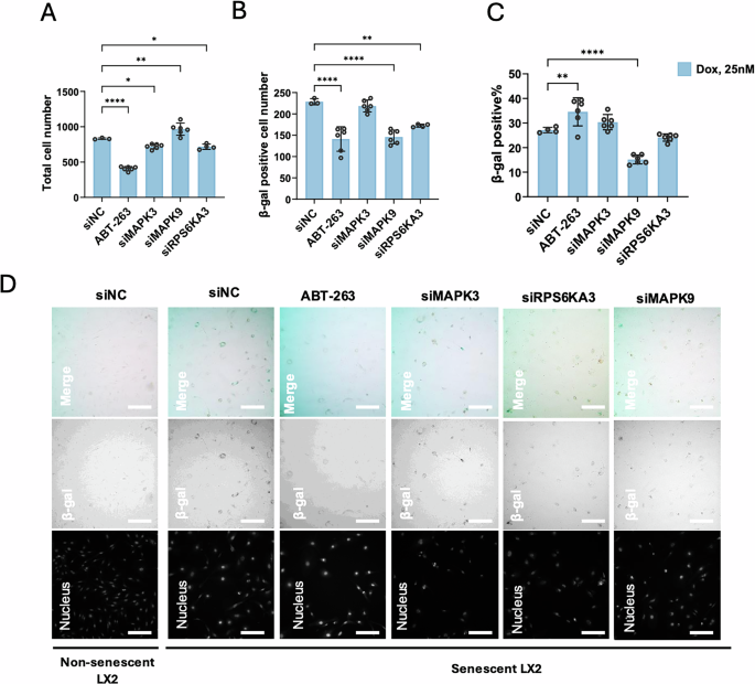 Fig. 4: Dual-purpose target MAPK9 exhibits anti-cellular senescence effects.