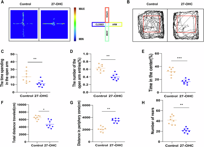 Fig. 4: 27-OHC induced anxiety-like behavior.