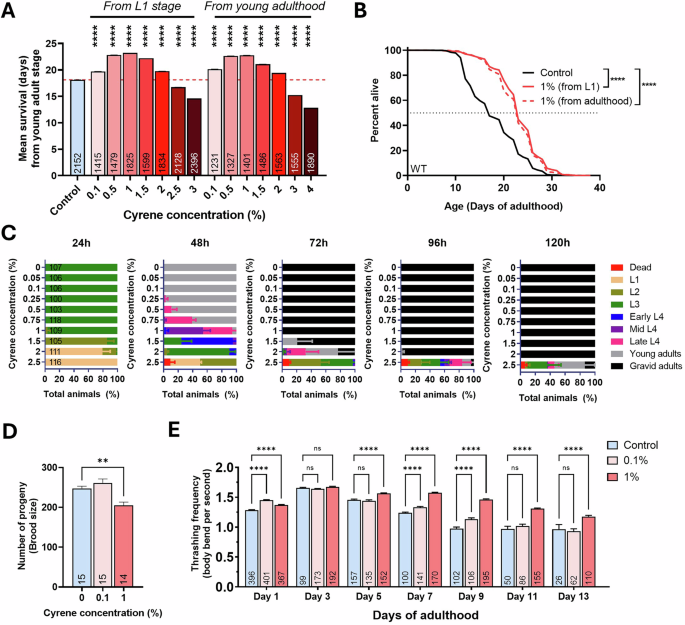 Fig. 1: Cyrene extends lifespan and healthspan in C. elegans with minimal developmental or reproductive trade-offs.