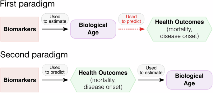 Fig. 2: Two paradigms of biological age estimation.