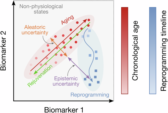 Fig. 3: Shift in data distribution creates uncertainty of biological age estimation.