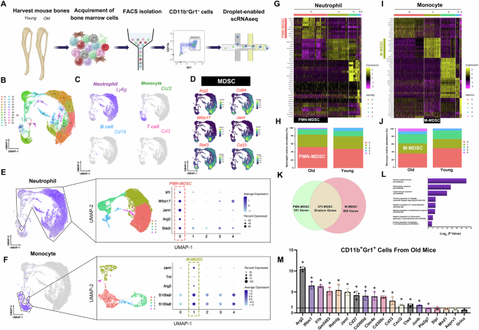 Fig. 1: Single-cell transcriptome analysis revealed MDSC signature genes.