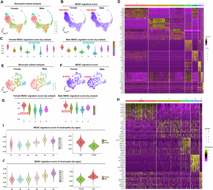 Fig. 2: Identification of bone marrow-derived MDSCs in aged human using MDSC signature genes.
