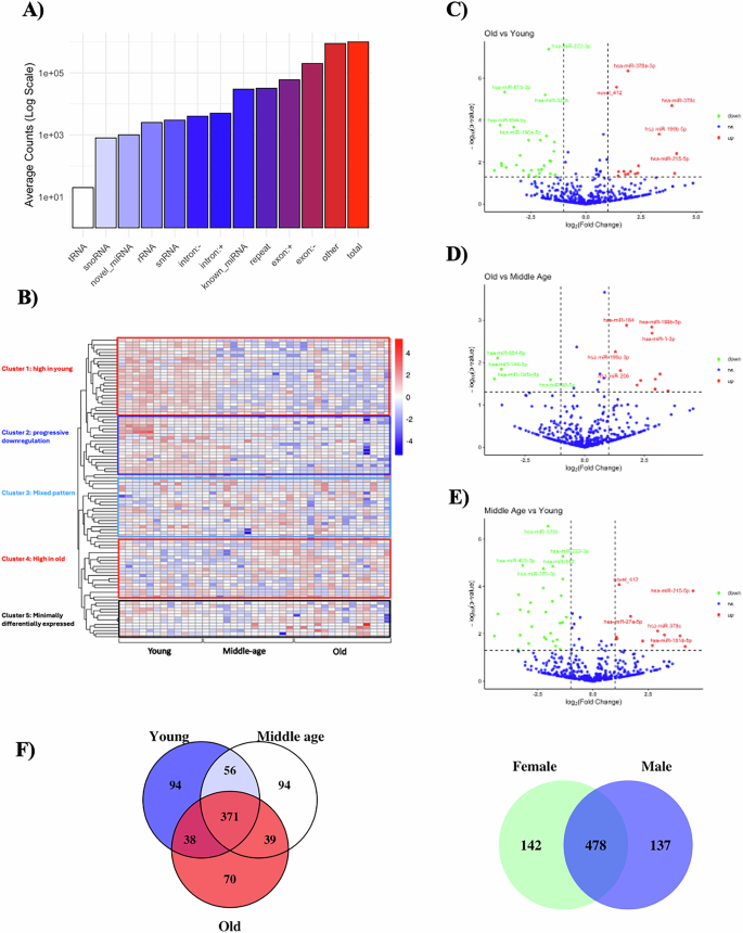 Fig. 2: sRNA profile of plasma-derived EV.