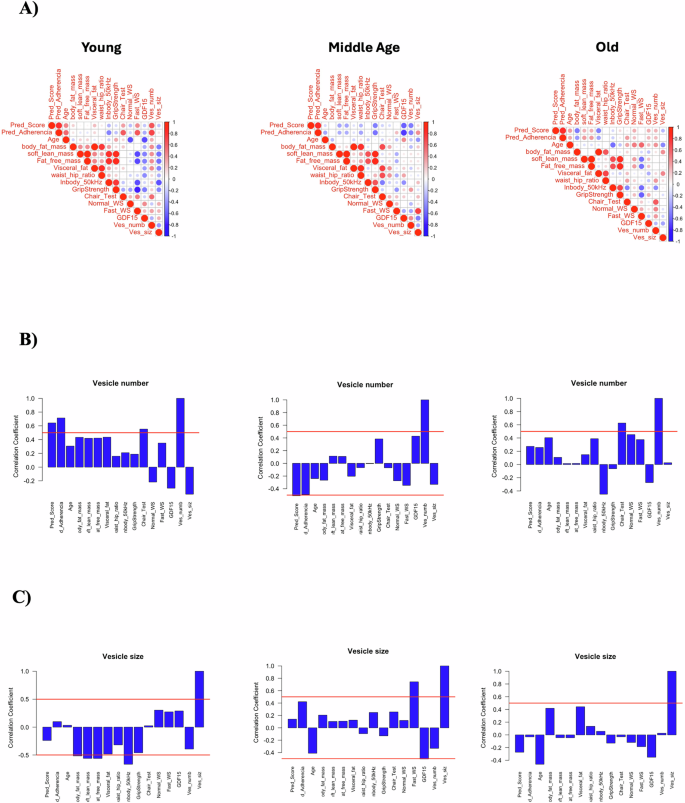 Fig. 4: Association between vesicle number and vesicle size with all the clinical variable included in the study by age groups.