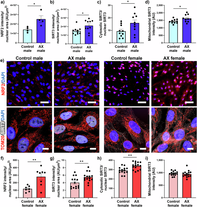 Fig. 4: The NRF2-SIRT3 axis is responsive to astaxanthin treatment.